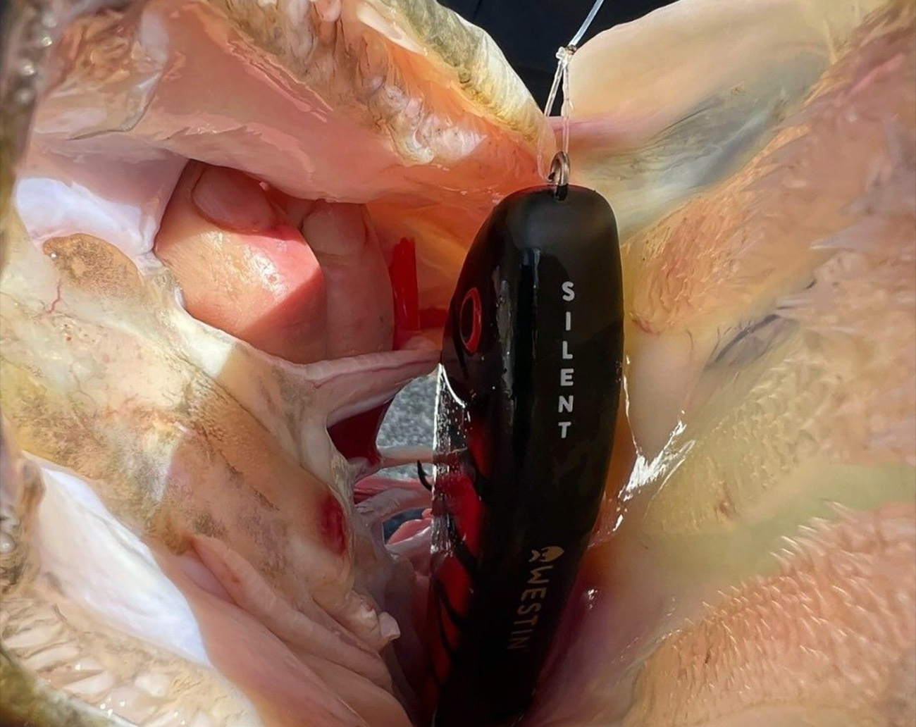 Westin Swim Silent 12cm 62g Sinking